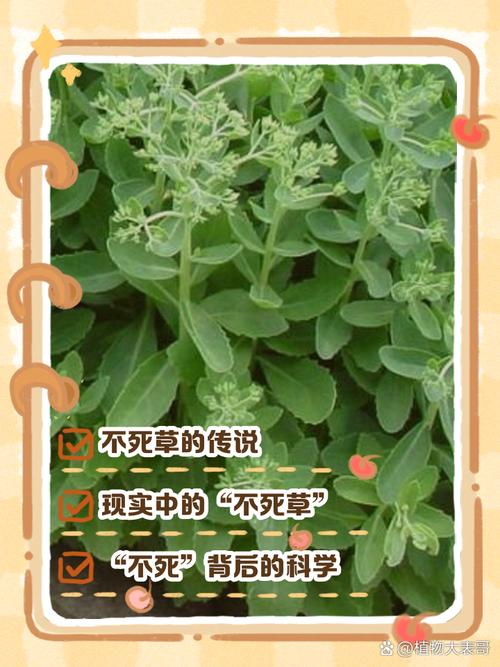 植物會自然死亡嗎