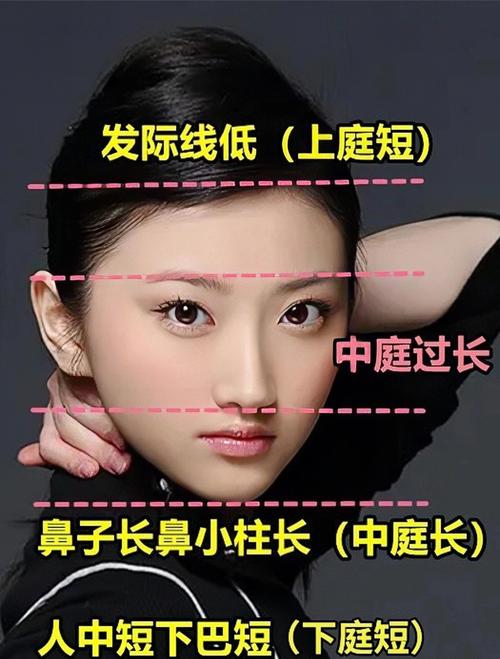 臉幾公分算長