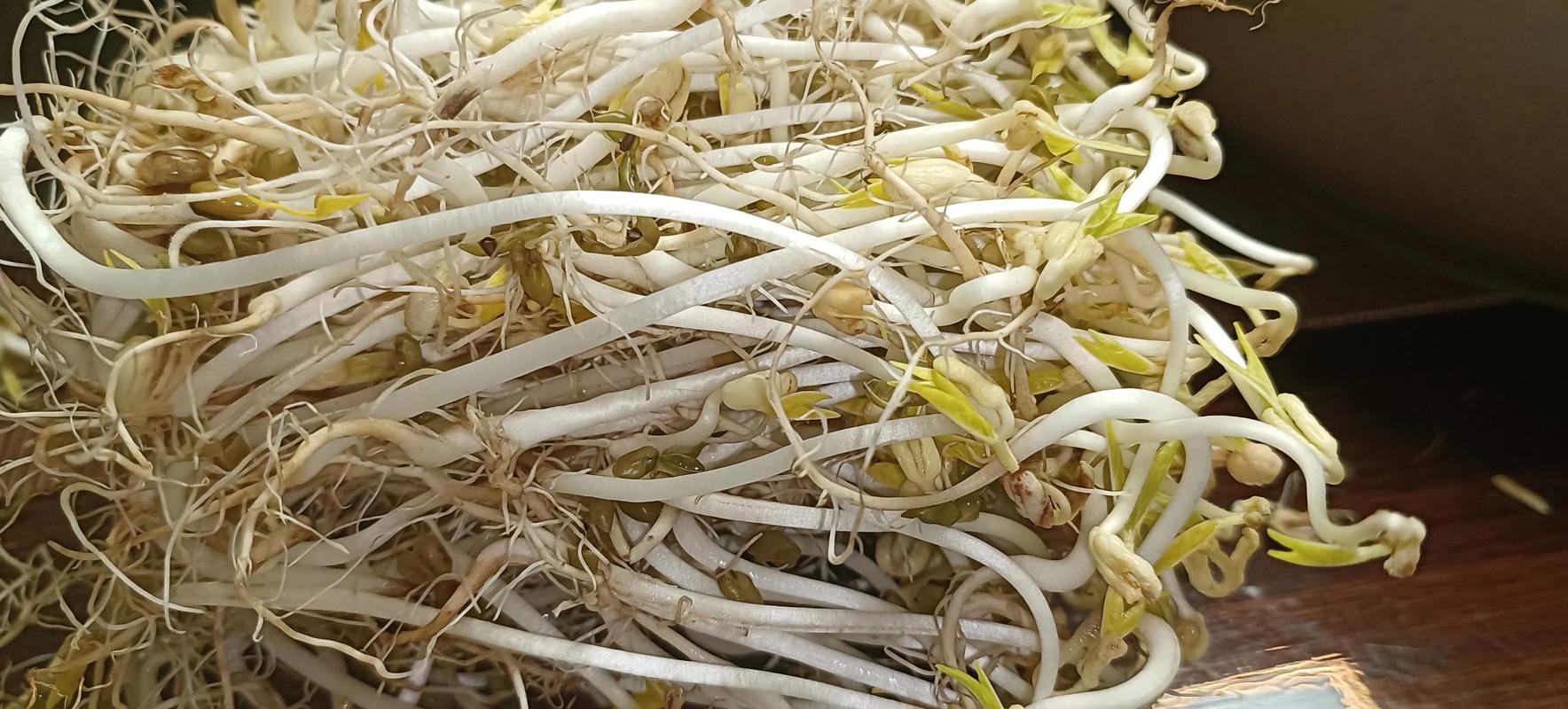 豆芽吃太多會怎樣