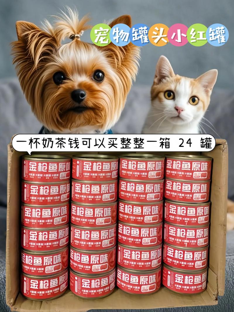 貓咪罐頭可以每天吃嗎