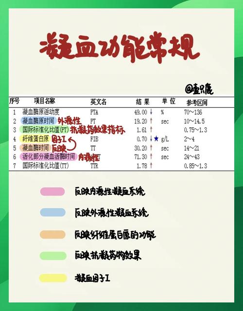 Canva的出血是多少