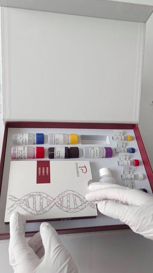TSSCI是什麼?深入解析SCI論文檢索系統的關鍵要點與實用技巧 1 tssci是什麼