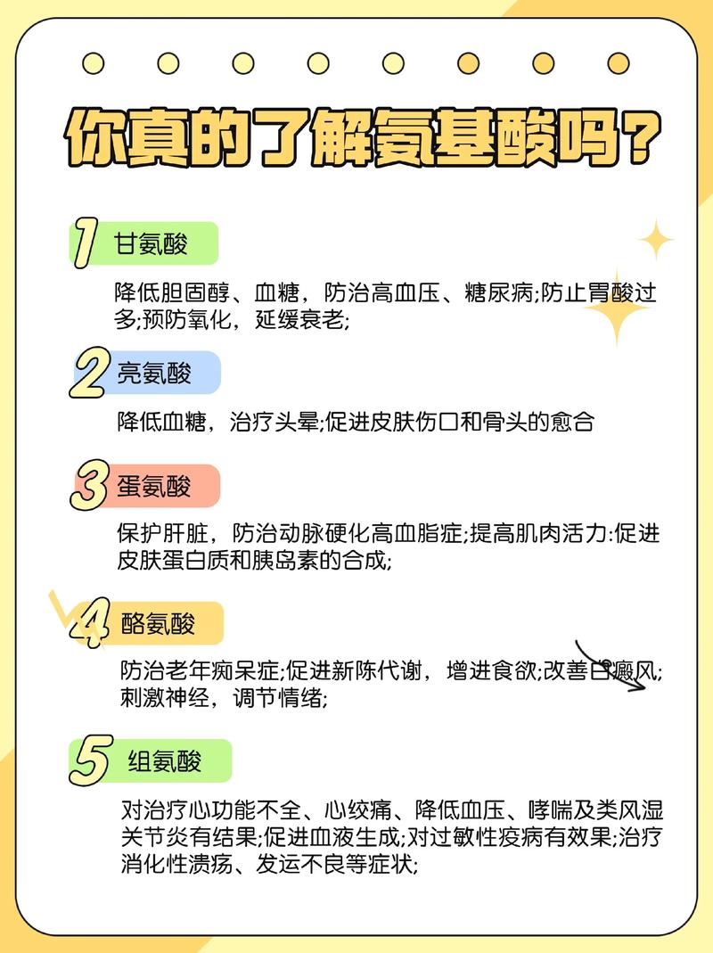 人體需要胺基酸嗎?揭開身體運作的關鍵密碼 1 人體需要胺基酸嗎
