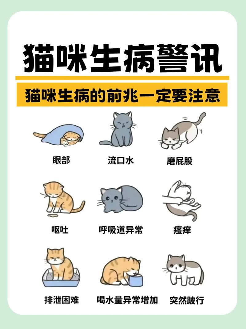 貓咪過世前兆