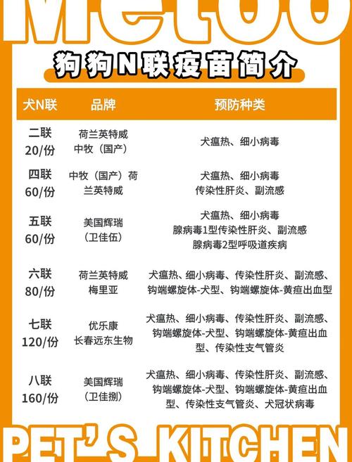 狗狗看醫生要多少錢