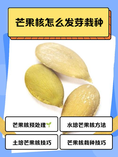 如何讓水果籽發芽