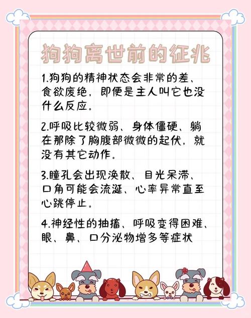 狗去世前徵兆:細膩觀察與溫柔陪伴,掌握毛孩生命最後的告別訊號 1 狗去世前徵兆