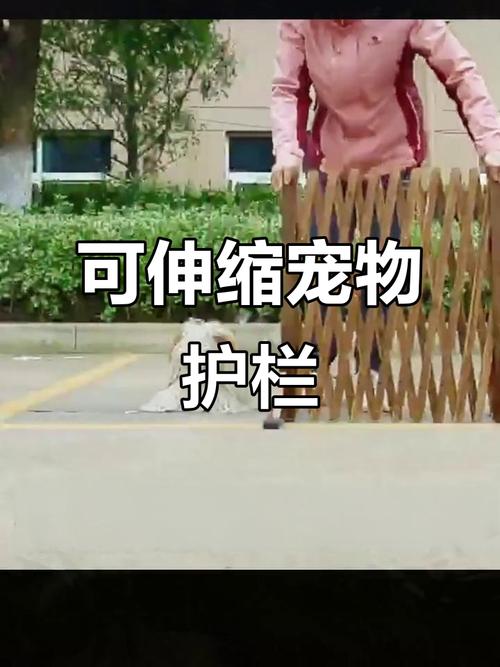 木柵可以帶狗嗎